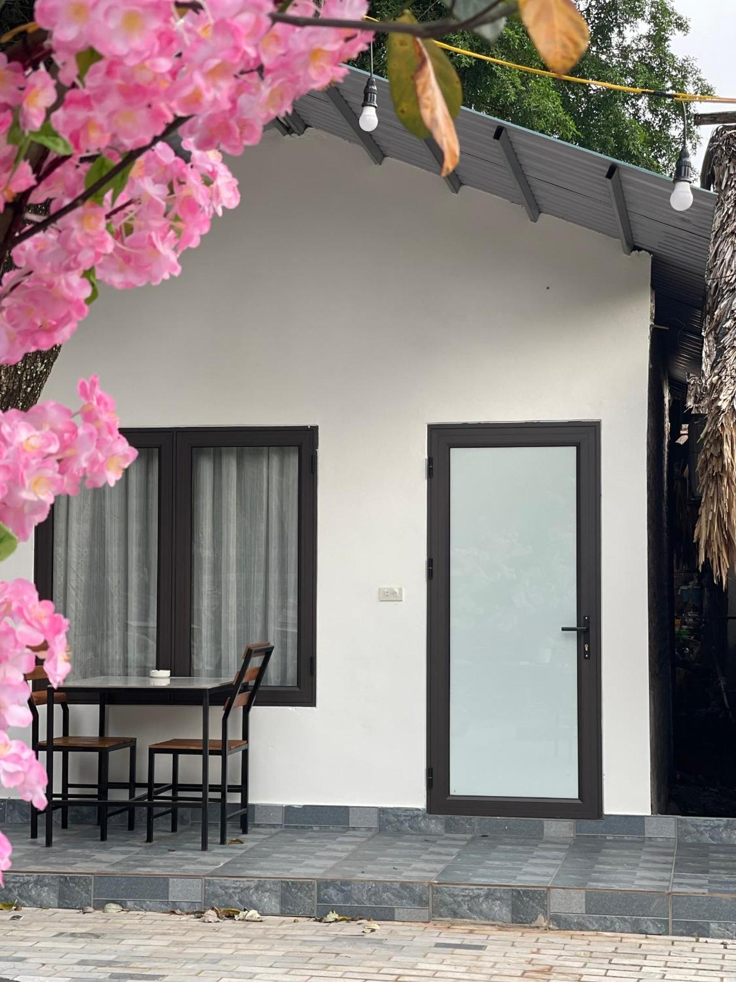 Tam Coc Serene Bungalow Ninh Binh Exteriér fotografie