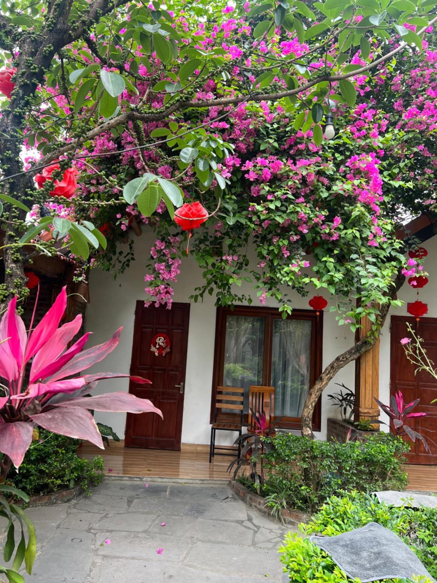 Tam Coc Serene Bungalow Ninh Binh Exteriér fotografie